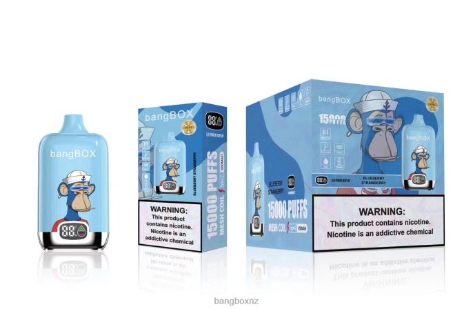 Bang Box Vape - Bang Box 15000 Puffs Blueberry Strawberry