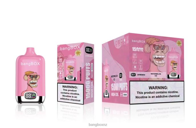 Bang Box Vape - Bang Box 15000 Puffs Watermelon Ice