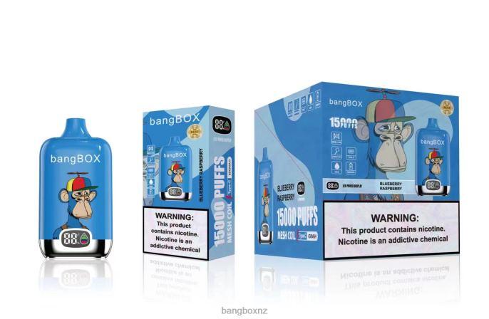 Bang Box Vape Price - Bang Box 15000 Puffs Blueberry Raspberry