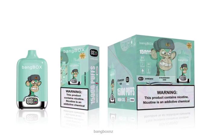 Bang Box Vape Price - Bang Box 15000 Puffs Strawberry Kiwi