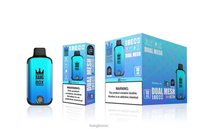 Bang Beach Vape - Bang Box 18000 puffs Blueberry Ice